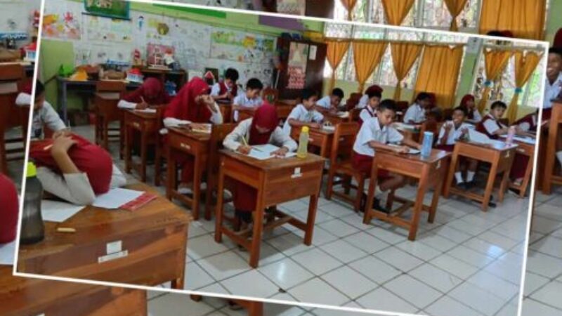 Compress_20250510_095237_7833 Compress_20250510_095237_7833